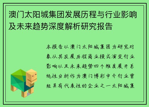 澳门太阳城集团发展历程与行业影响及未来趋势深度解析研究报告